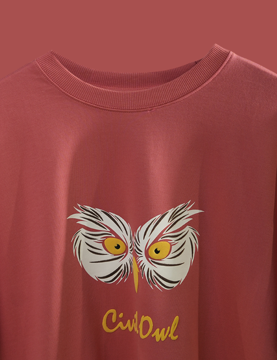PEACH OWL FIGURE OVERSIZED T SHIRT