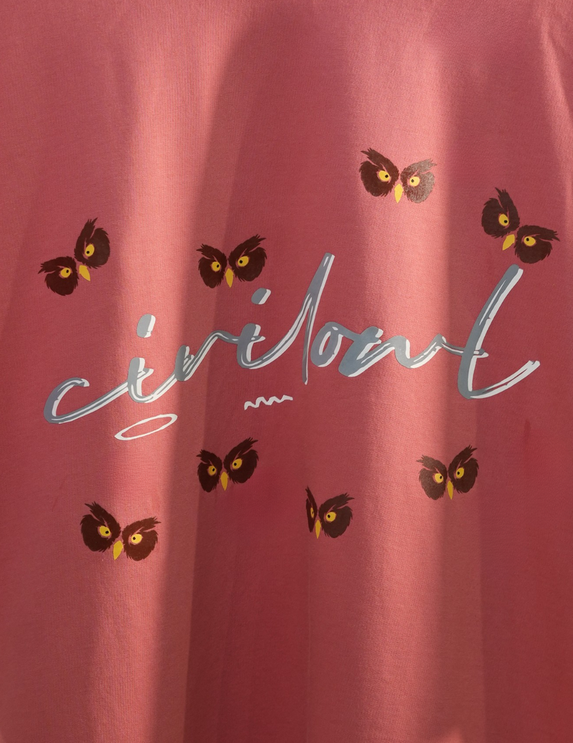 PEACH OWLS BASIC OVERSIZED T SHIRT