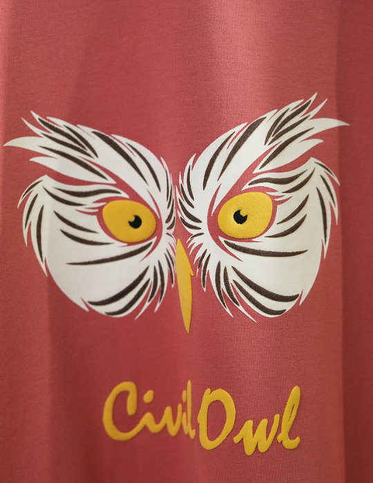 PEACH OWL FIGURE OVERSIZED T SHIRT
